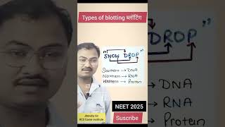 Types of blotting techniques molecular basics of inheritance neet ytshorts trending [upl. by Sukcirdor]