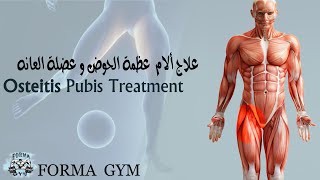 علاج عظمة الحوض وعضلة العانه Osteitis Pubis Treatment [upl. by Telracs]