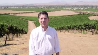 Discover California Wines Livermore Lodi and Santa Cruz [upl. by Maxine]