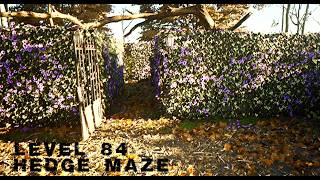 The Backrooms  Hedge Maze  Level 84  Found Footage  Escape Before Darkness Falls [upl. by Fineman]