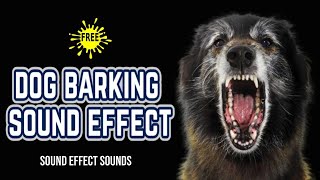 DOG BARKING  Dog Sound Effect [upl. by Baese521]