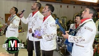 Los Liricos Jr  La guadalupana Serenata a la virgen de Guadalupe [upl. by Love]