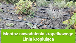 Montaż nawodnienia kropelkowego Linia kroplująca [upl. by Tahmosh187]