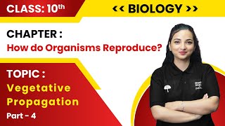 Class 10th Biology  How Do Organisms Reproduce  Part4 Vegetative Propagation  Live 202324 [upl. by Lerud776]