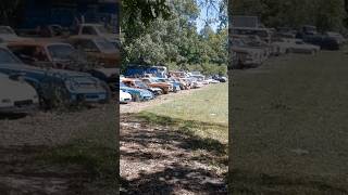 BARN FINDS  Junkyard Full of Old PontiacsFord CamarosMustangsCadillacs and More automobile [upl. by Chader]