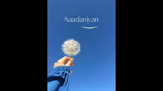 Nadaaniyan Akshath newsong shortcover nadaaniyaan viralsong [upl. by Neelyam447]