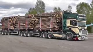 Fermgruppen  swedish XXXL Timbertruck combi [upl. by Adien]