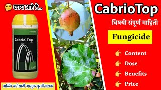 CabrioTop Fungicide  CabrioTop बुरशीनाशकाचे फायदे  फवारणी प्रमाण  Content  Price  BASF [upl. by Auqemahs]