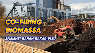 Kombinasi Energi Terbarukan dan Fosil pada PLTU Batu bara  Solusi Transisi Energi COFIRING BIOMASS [upl. by Akcimehs]