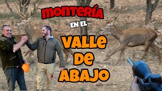 MONTERIA EN EL VALLE DE ABAJO TOLEDO EL DIA QUE LA CAZA ME DEJO ABRUMADO NUNCA VÍ TANTAS RESES [upl. by Calandria478]