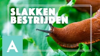 Slakken in de moestuin bestrijden  Grow Cook Eat 24 [upl. by Nylarad]