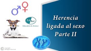 Herencia ligada al sexo 👩🏻🧑🏻  Parte 2️⃣ gatos carey heterosexo hemofilia y daltonismo [upl. by Annaitat]