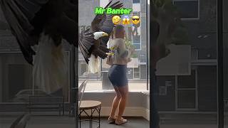 Bird Prank Gone Wrong 😂 Girls Unexpected Surprise [upl. by Ydnyl536]