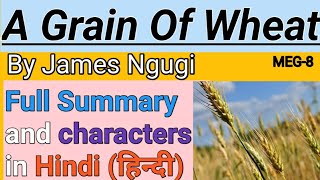 A grain of wheat summary in hindiJames NgugiFull summary and characters in hindiMEG8 IGNOU [upl. by Caldwell]