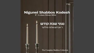 Tzadik feat Avraham Shlomo Miller [upl. by Cogn]