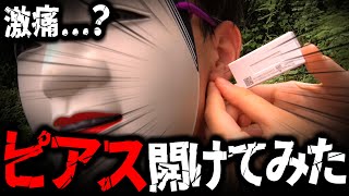 【激痛】リス村長、ピアスを開ける。【実写動画】 [upl. by Areek]