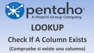 52LOOKUP  CHECK IF A COLUMN EXISTS [upl. by Eyram]