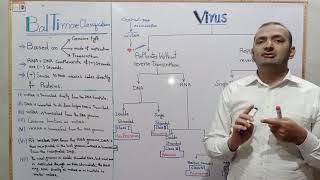 Baltimore Classification of Virus easy to understand with examples [upl. by Jaban]