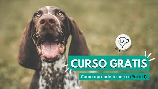 🔥Curso de Adiestramiento Canino GRATIS🔥 ¿Cómo aprende TU PERRO Parte 1 [upl. by Ody512]