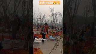 छठी मइया🙏🙏प्रात सूर्य नमस्कार सूर्य महापर्व का आशीर्वाद81124 🙏🙏🚩🚩 [upl. by Niamart875]