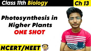 Photosynthesis Masterclass Class 11 Biology  From Light Reactions to Chemiosmotic Hypothesis [upl. by Ylak755]