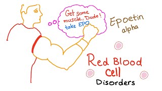 Erythropoietin EPO amp Red Blood Cells RBCs  Oxygenation  Endurance  Exercise [upl. by Claire]