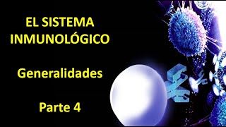 Sistema inmune generalidades Video 4 [upl. by Aerdnat]