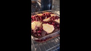 Quick Brownie Cheesecake with Cherries in Just 40 Minutes [upl. by Marshall]