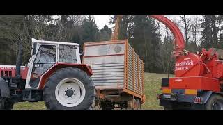 Hackgut Erzeugung mit STEYR 8085  Eschelböck Biber 78 und Massey Ferguson [upl. by Sitnerp471]