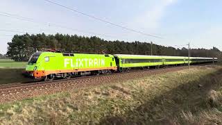 FLIXTRAIN  182 503  FLX 1366 Hamburg Hbf  30032024  bei Ludwigsfelde [upl. by Rankin425]