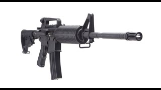 DPMS 223 x 556 AP4 AR 15 Review Panther Arms [upl. by Lefty]