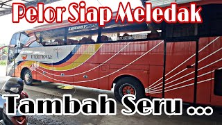 Bus Gumarang Jaya Melebarkan Sayap Buka Line ManaUnit Terbaru Kah  Pelor Siap Meletus👍 [upl. by Fontes669]