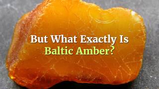 📙 What is Baltic Amber Explanation Blueprint 👨‍🎓 [upl. by Akeim]