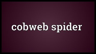 Cobweb spider Meaning [upl. by Nirual]