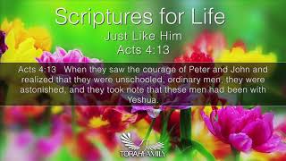 Scriptures for Life  Just Like Him [upl. by Enoryt]