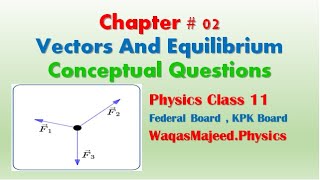 Conceptual Question no 6 Chapter 2 Vectors and Equilibrium Physics Class 11 WaqasMajeedPhysics [upl. by Polivy920]