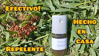 Repelente Casero de Mosquitos con Aguaribay o Molle 2da parte Barato y efectivo [upl. by Rehnberg]