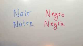 Cómo se escribe en francés NEGRO  Los colores en francés [upl. by Lytle]