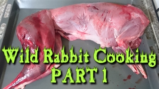 Part 1★Tavşan nasıl pişirilir★How to cook wild rabbit 1Wie man kocht Kaninchen [upl. by Savart]