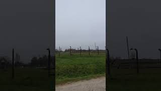 A View of Auschwitz II Birkenau From Inside the Gate Oswiecim Poland [upl. by Elison]