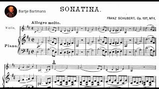 Franz Schubert  Violin Sonatina No 1 1816 SzeryngHaebler [upl. by Annoda]