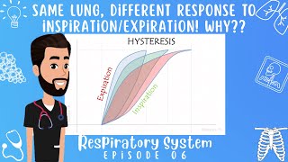 Lung HYSTERESIS 5 Minutes of Physiology explained Respiratory System Episode 06 [upl. by Ained]