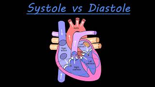 The difference between systole and diastole [upl. by Couchman]