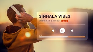 Sinhala Vibe Hemin Sare Awith Oya  හෙමින් සැරේ ඇවිත් ඔයා Lahiru Brayan Remix sinhalasong [upl. by Hau26]