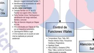 Flujograma de la Atencion Integral en la Consulta Externa de Afiliados SIS y No SIS [upl. by Ahsekin]