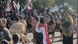 Hīkoi landed in Ngati Toa New Zealand [upl. by Yttam]