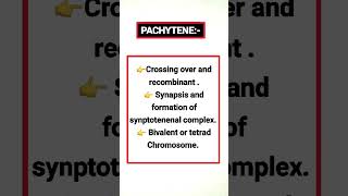 PACHYTENE biology [upl. by Gluck]