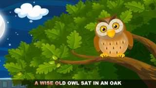 A Wise Old Owl with lyrics  Nursery Rhymes by EFlashApps [upl. by Elene]