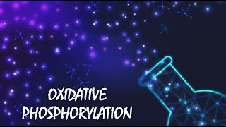 Oxidative Phosphorylation [upl. by Yleen]