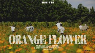 ENHYPEN – Orange Flower You Complete Me Lirik Terjemahan Indonesia [upl. by Loree227]